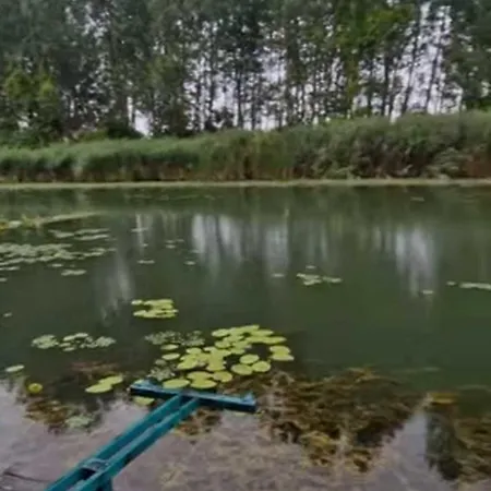 Toelgyeserdo Birtok Szallas Es Rendezveny 4*