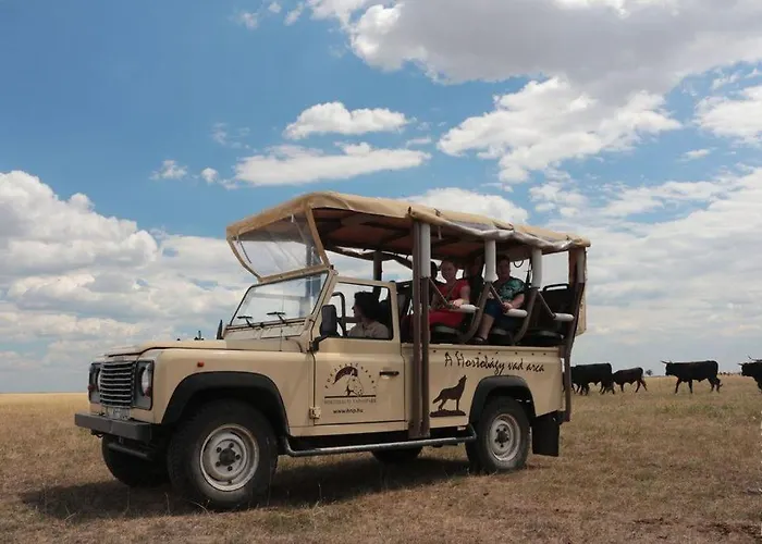 Toelgyeserdo Birtok Szallas Es Rendezveny בית הארחה 4*